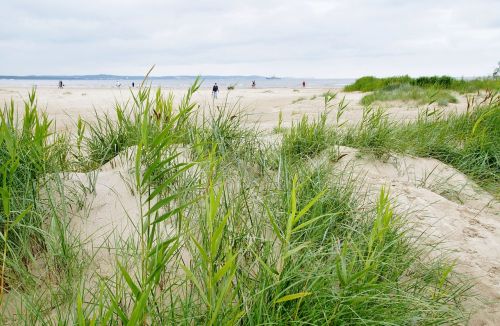 dune dunes sand