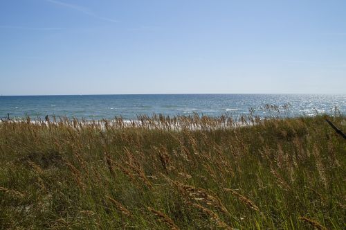 dune dune landscape grasses