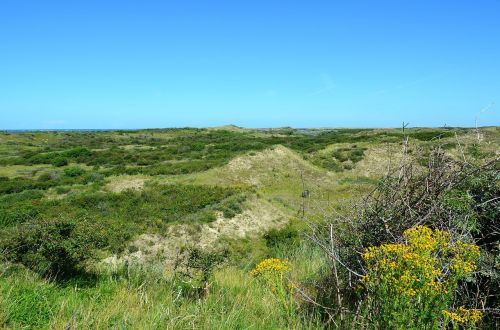 dune landscape dunes north sea coast