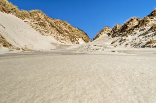 dune landscape sand dune