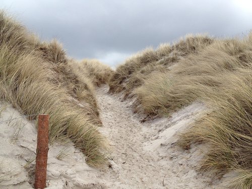 dune landscape  nature
