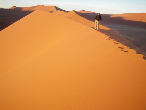 dunes sand dunes namib desert