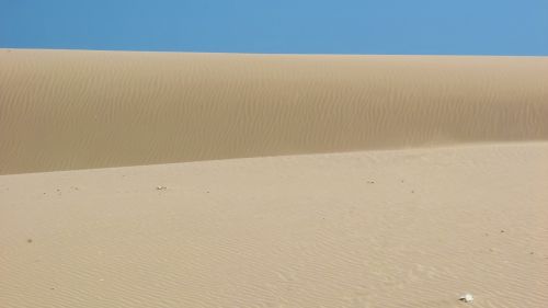 dunes sand sand dunes