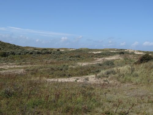 dunes summer netherlands