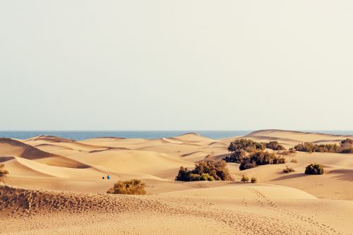 dunes holiday sand