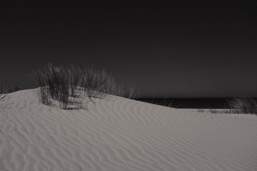 dunes grass night