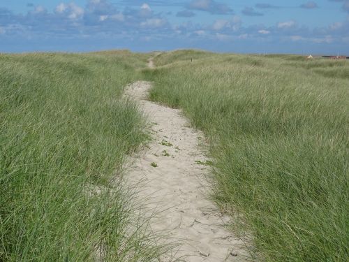 dunes dune hike beach
