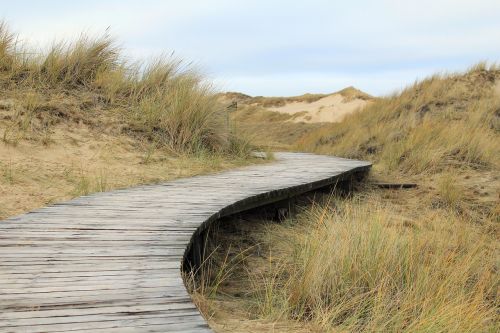 dunes boardwalk amrum