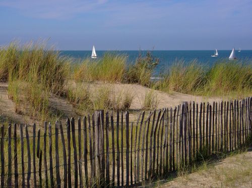 dunes sand beach