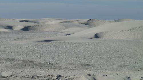 dunes baja california sur black warrior