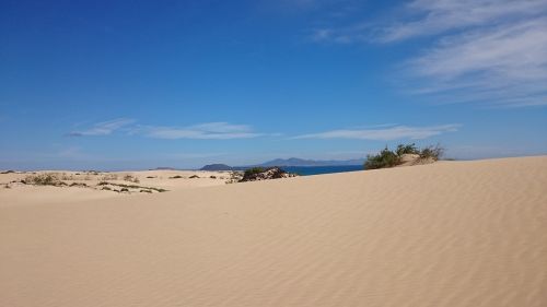 dunes sand corralejo