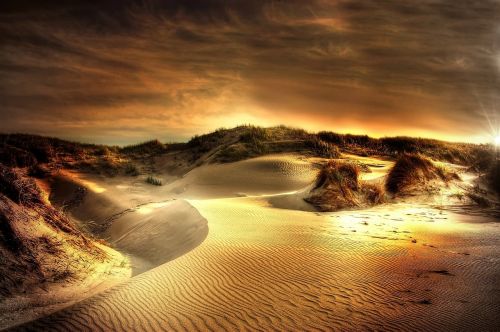 dunes sea north sea