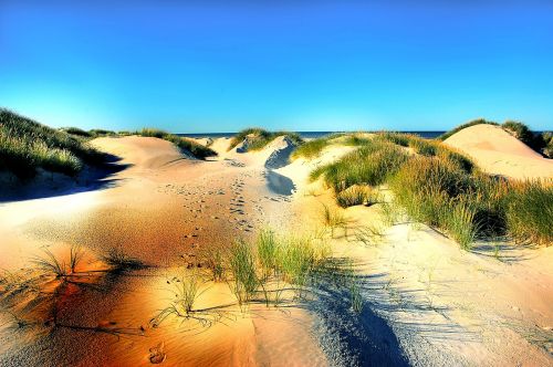 dunes beach denmark