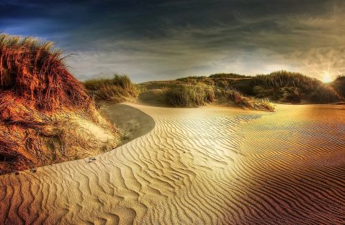 dunes beach north sea