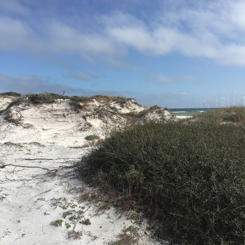 dunes sand gulf