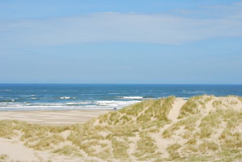 dunes coast beach