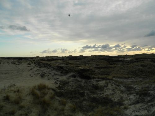 dunes island amrum