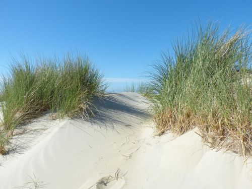 dunes north sea beach