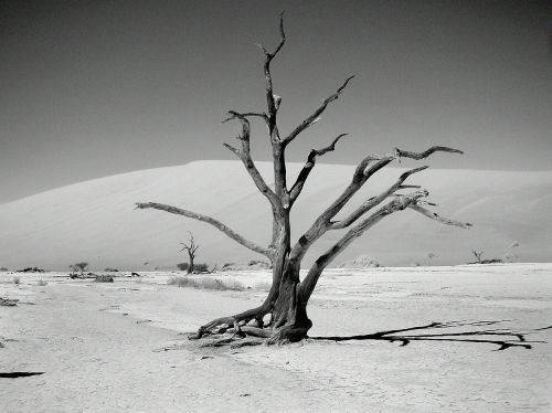 dunes dune sea desert