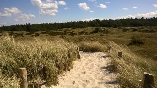 dunes away baltic sea