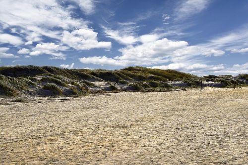 dunes beach north sea