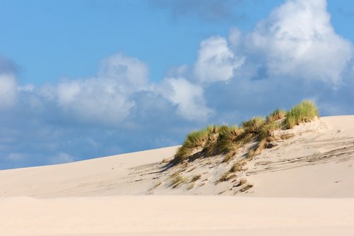 dunes  sand dunes  poland