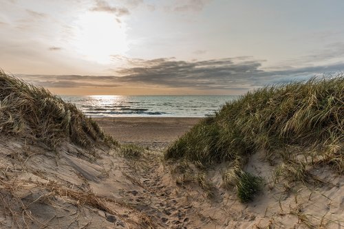 dunes  beach  north sea
