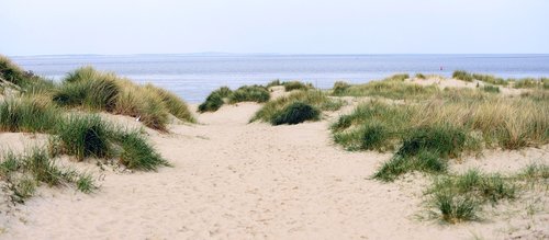 dunes  beach  sand