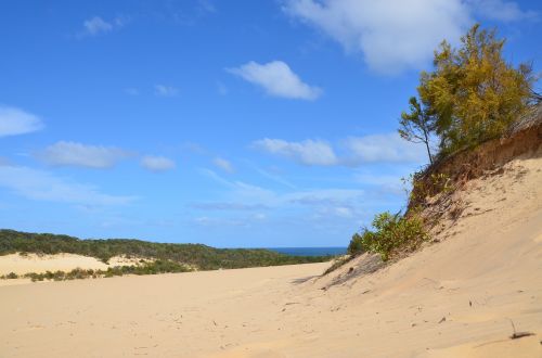 dunes beach sea