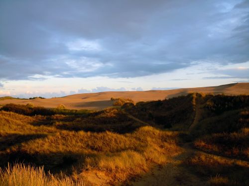 dunes sand dunes dune landscape