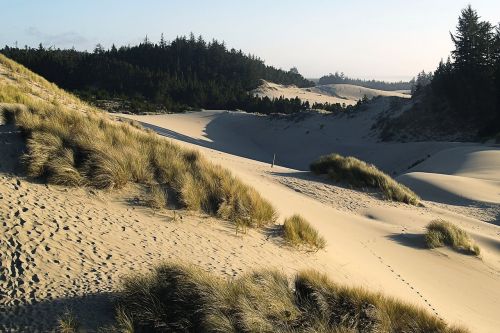 dunes sand beach