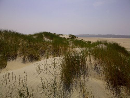 dunes north sea denmark