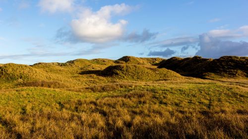 dunes north sea norderney