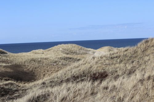 dunes dry dune