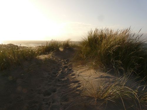 dunes north sea sea