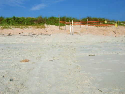 dunes sand beach
