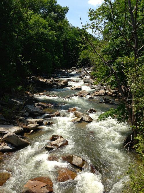 dupont forest river flowing