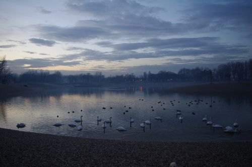 dusk evening dark