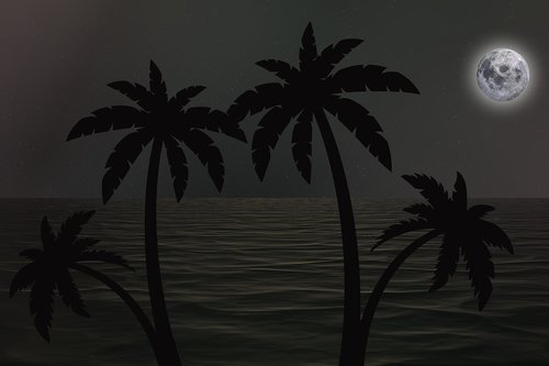 dusk  moon  palms