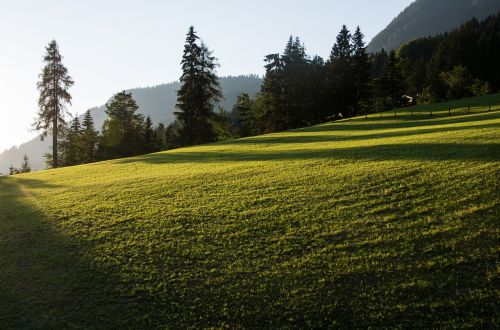 sunset shadow nature