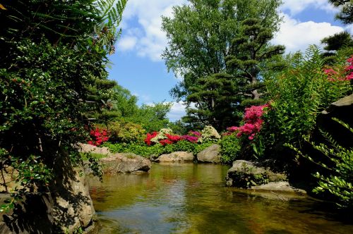 düsseldorf japanese garden ornamental garden