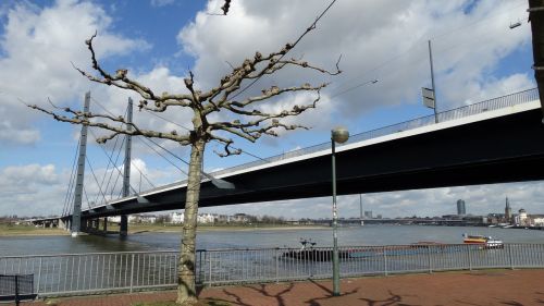 düsseldorf rhine bridge river blue