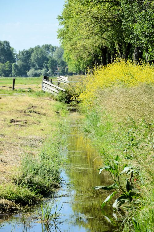 Dutch Landscape