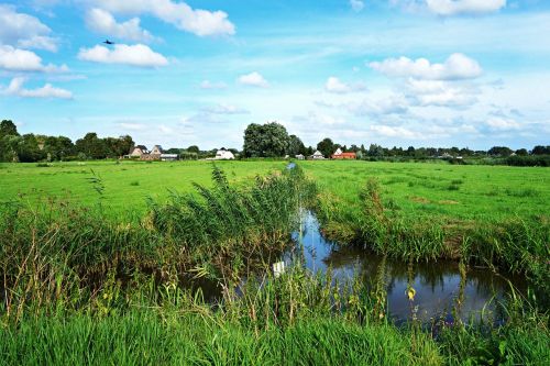 dutch landscape landscape polder