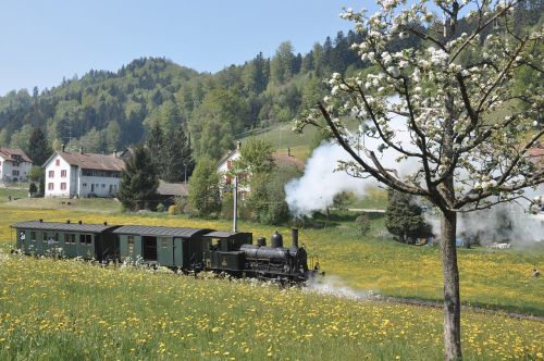 dvzo steam locomotive steam train