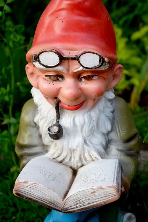 dwarf reading read