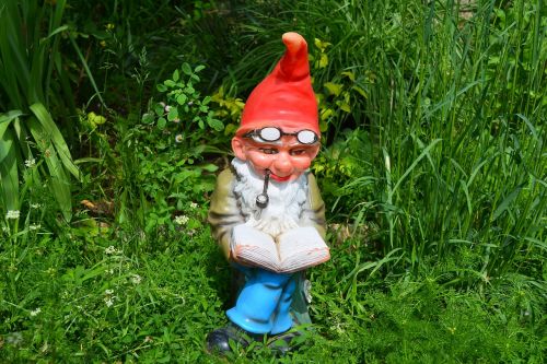 dwarf garden dwarf gnome