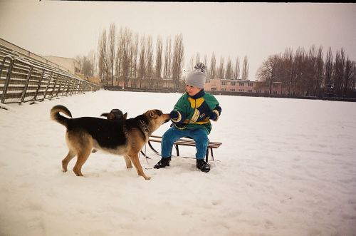 Girl And Dog