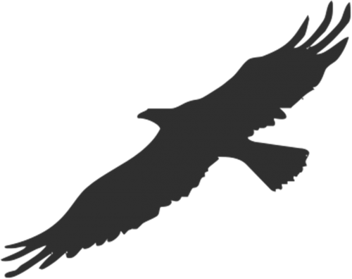 eagle bird silhouette