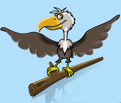 eagle bird golden eagle